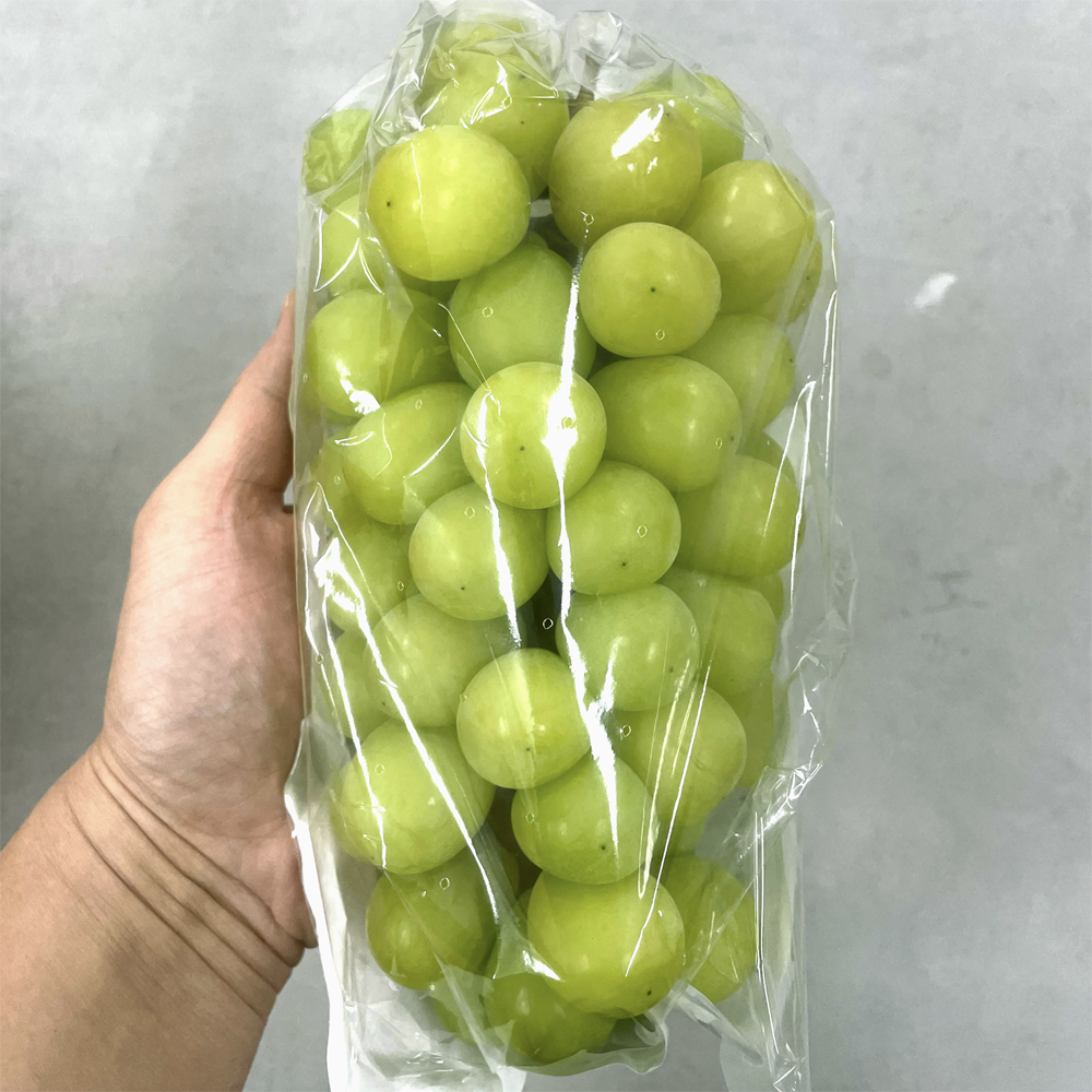 에어포장 영천 샤인머스캣 씨없는 청포도 샤인머스켓 3수, 2kg, 1개 이미지 6