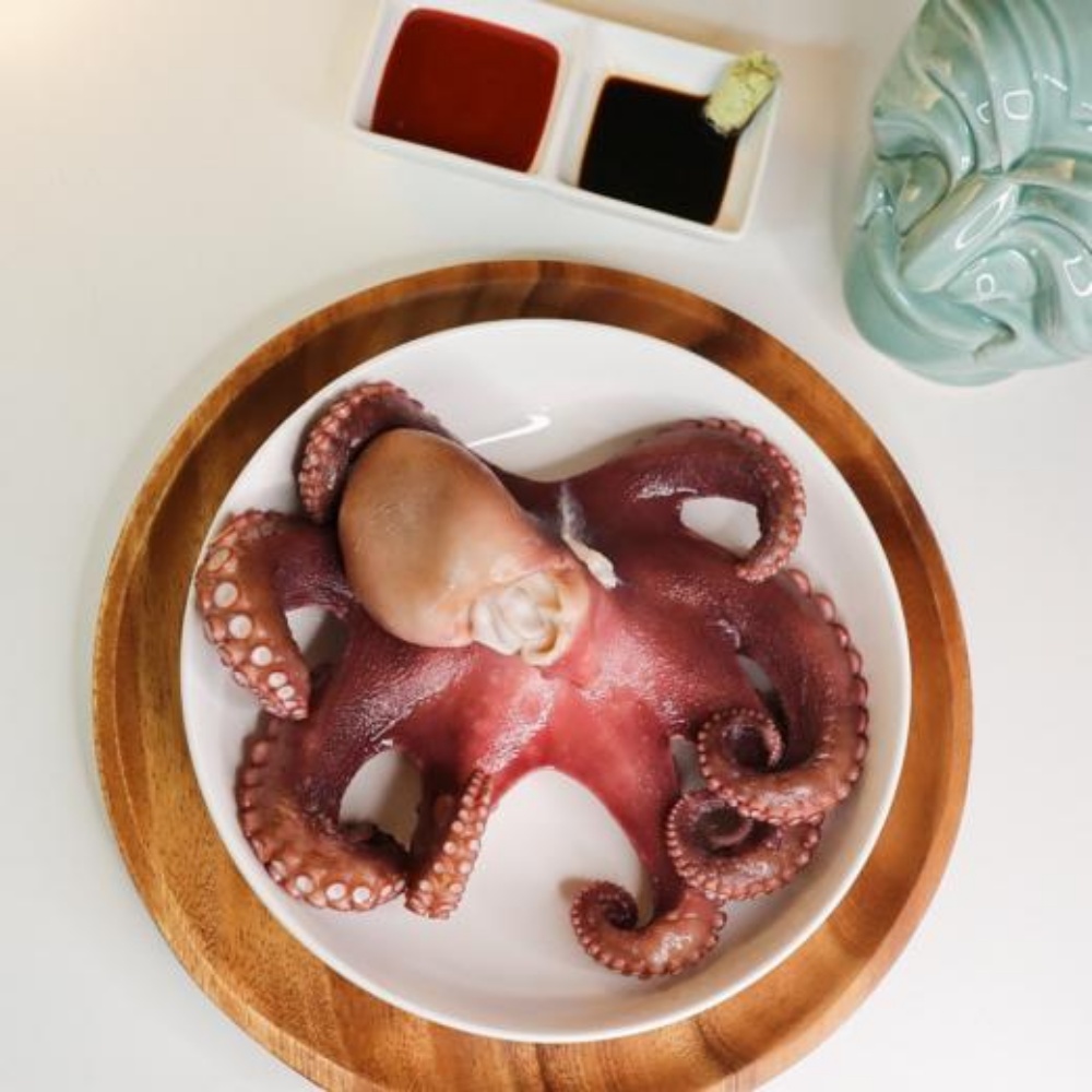 피문어 자숙 문어 활문어 참문어 동해 속초 자연산 대문어 제수용 포항 숙회 강원도 1kg 이미지 6
