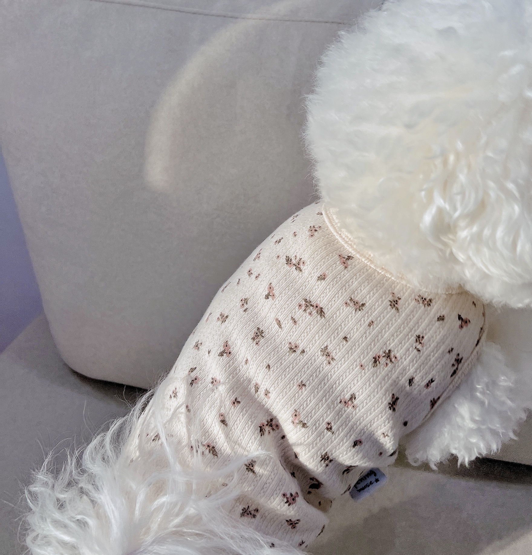 오프닝뮤즈 블라썸 데이 티셔츠 강아지 실내복 나시 잠옷 이미지 2