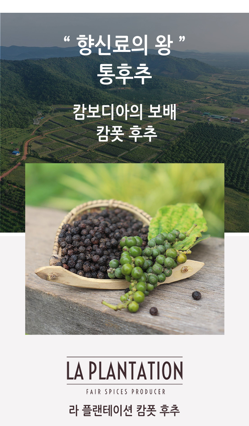 라 플랜테이션 캄보디아 캄폿 통후추 레드 적후추 50g, 2개 - 상세 이미지 2