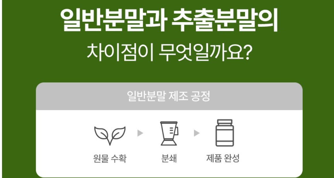 삼백초 분말 삼백초가루 200g 3개 이미지 7