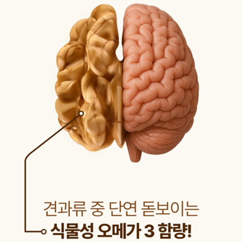 비웰 독일 엑스트라버진 월넛 호두 오일 캡슐 알파 리놀렌산 브레인 푸드 30캡슐, 6개 - 상세 이미지 2
