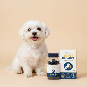 강아지 관절 슬개골 영양제 펫밸런스 조인트밸런스 80정 80g, 2개 솔직 후기 | 실제 사용자 리뷰 총정리 - 상품 이미지 2