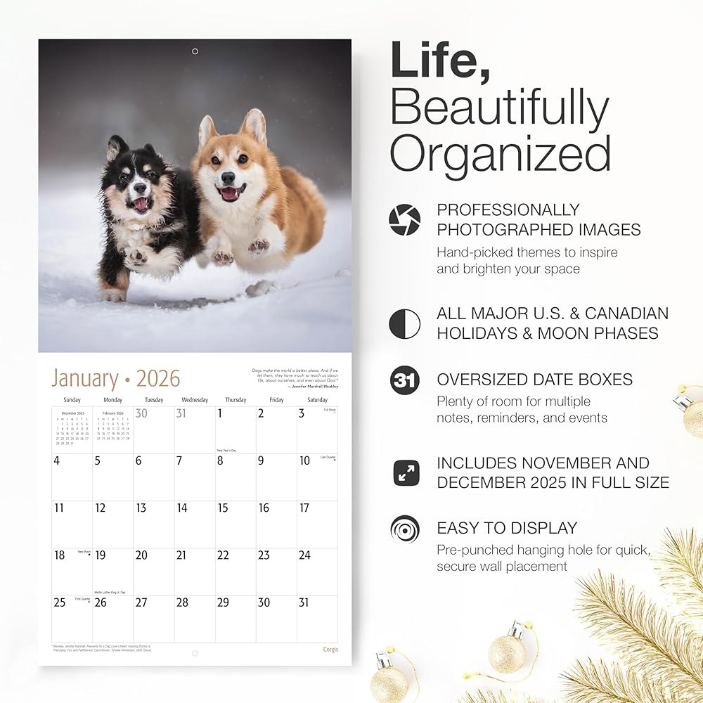 Corgis 2026 벽 달력 12개월 두껍고 61cm(12인치 종이 튼튼한 30.5cm 강아지 선물 귀여운 24인치) x 펼쳤을 때 휴일 01 - Corgis New 2026 - 상세 이미지 3