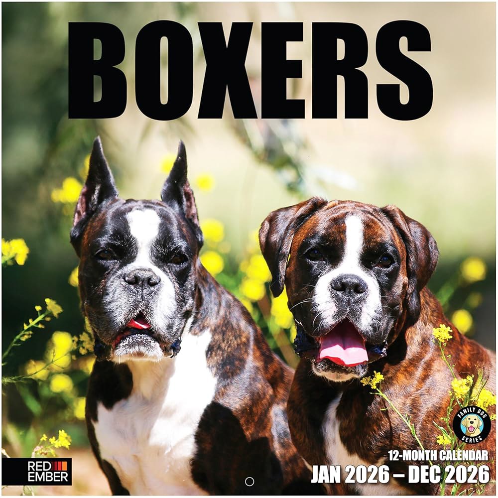Boxers 2026 벽 달력 12개월 30.5cm 종이 24인치) 때 두껍고 x 펼쳤을 61cm(12인치 튼튼한 선물 - 상품 이미지
