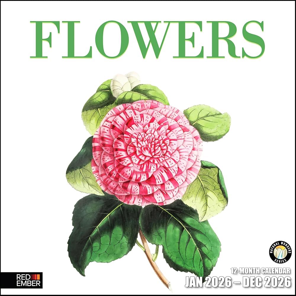 Flowers 2026 벽 달력 12개월 x 24인치) 휴일 아트 두껍고 61cm(12인치 정원 선물 자연 펼쳤을 캘린더 때 종이 튼튼한 30.5cm - 상품 이미지