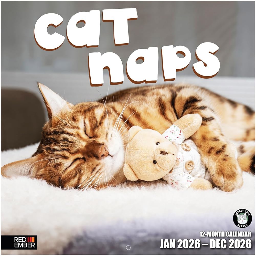 Cat Naps 2026 벽 달력 x 때 튼튼한 30.5cm 61cm(12인치 24인치) 두껍고 12개월 종이 선물 펼쳤을 01 - Cat Naps New 2026 - 상품 이미지