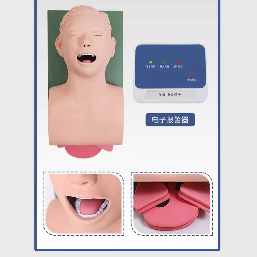 기도확보모형 응급 구조 성인 마네킹 기관내삽관 훈련 성인 연습 기도 삽관 J3 - 상세 이미지 5