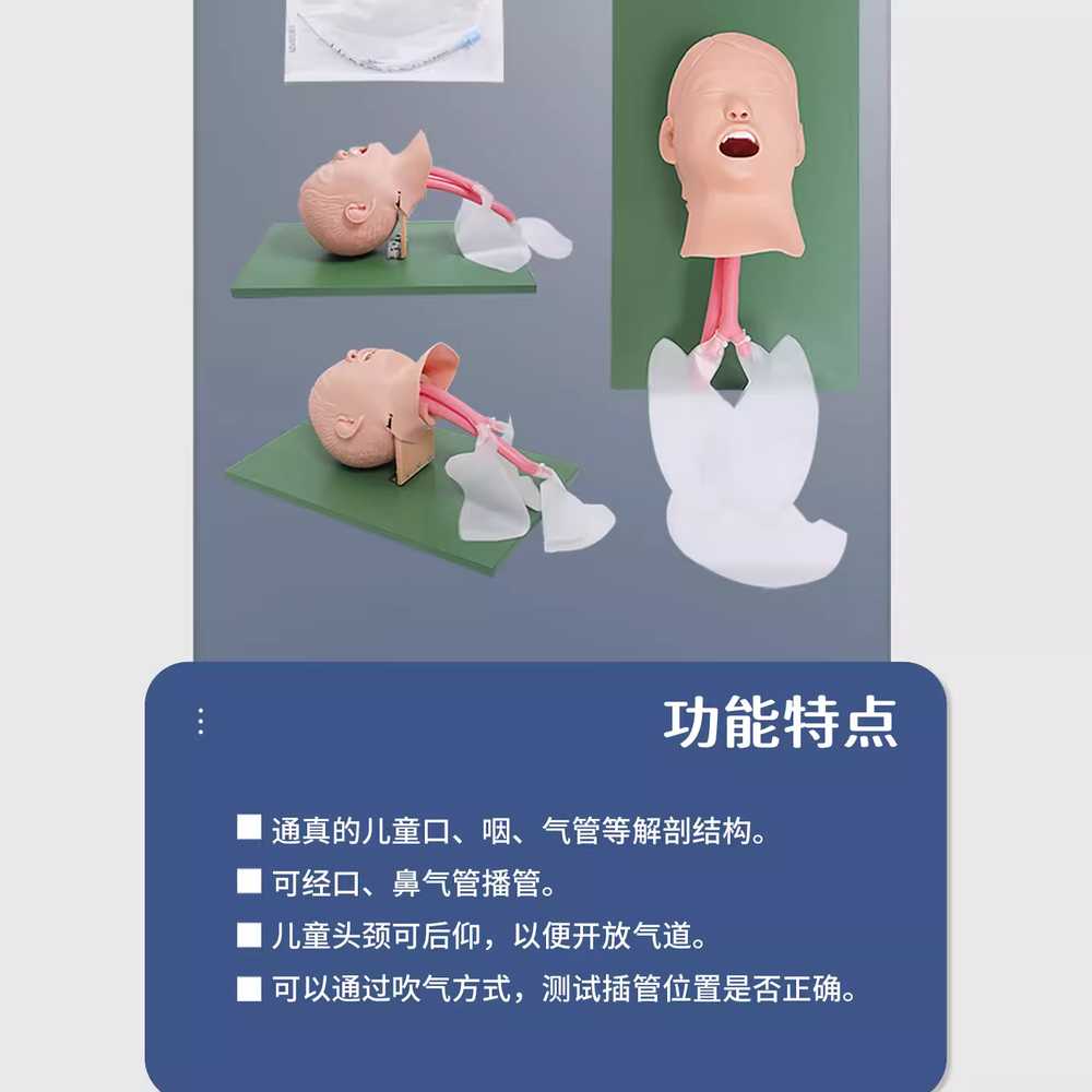 기도확보모형 응급 구조 성인 마네킹 기관내삽관 훈련 성인 연습 기도 삽관 J3 - 상세 이미지 4