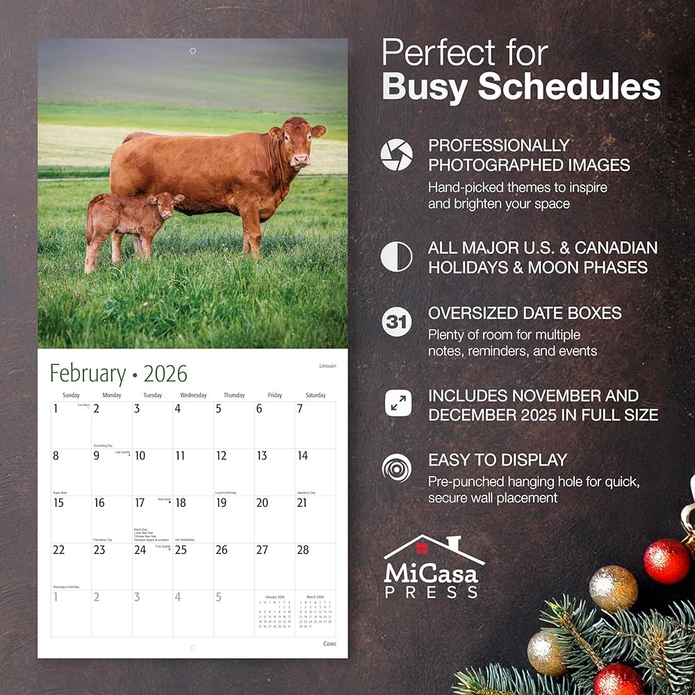 Cows 2026 벽 달력 12개월 30.5cm 24인치) 튼튼한 때 선물 두껍고 종이 61cm(12인치 x 펼쳤을 01 - Cows New 2026 - 상세 이미지 2