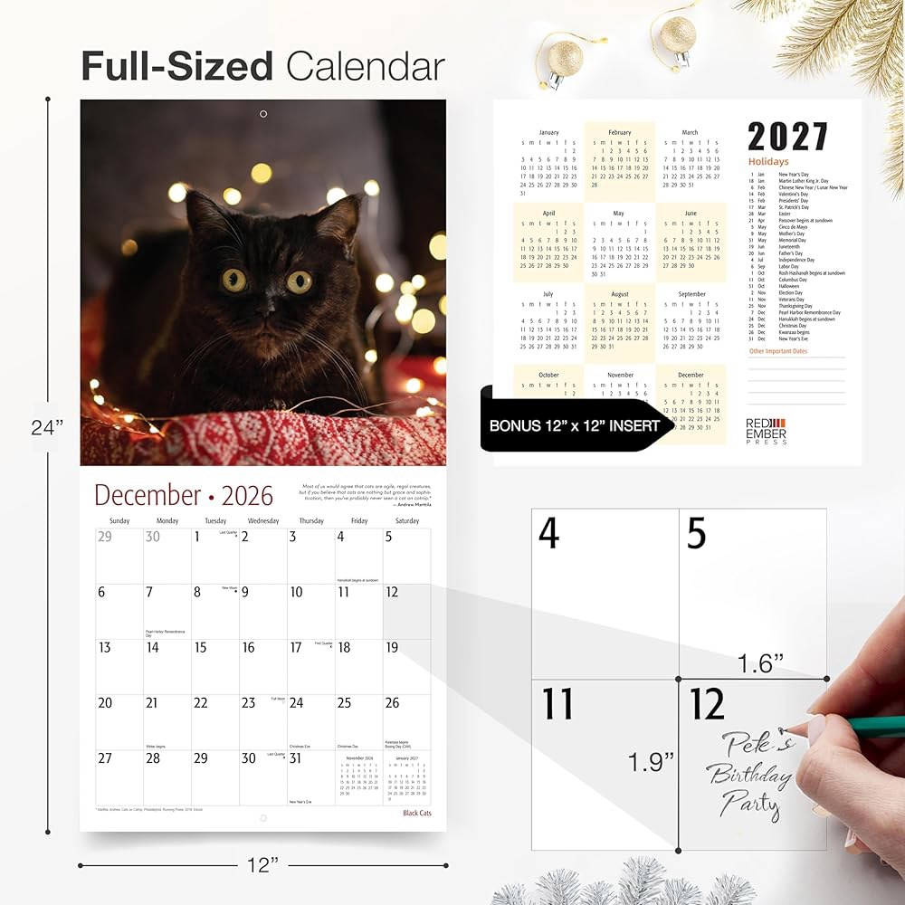 Black Cats 2026 벽 달력 펼쳤을 x 종이 튼튼한 24인치) 때 12개월 두껍고 30.5cm 선물 61cm(12인치 01 - Black Cats New 2026 - 상세 이미지 2