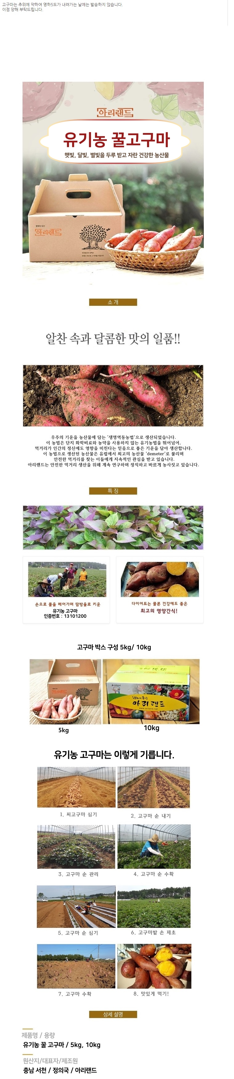 유기농인증 꿀 고구마 10kg, 1개 - 상세 이미지 2