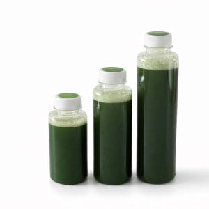 100% 착즙 퓨어 샐러리 주스 220ml / 300ml / 450ml ... 맛있게 먹은 솔직 후기 - 상품 이미지 2