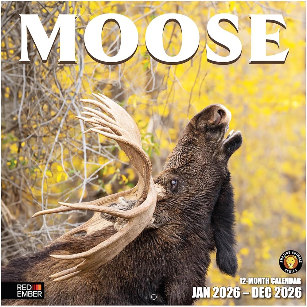 Moose 2026 벽 달력 12개월 30.5cm 때 61cm(12인치 선물 두껍고 튼튼한 x 종이 펼쳤을 24인치) 01 - Moose New 2026 - 상품 이미지