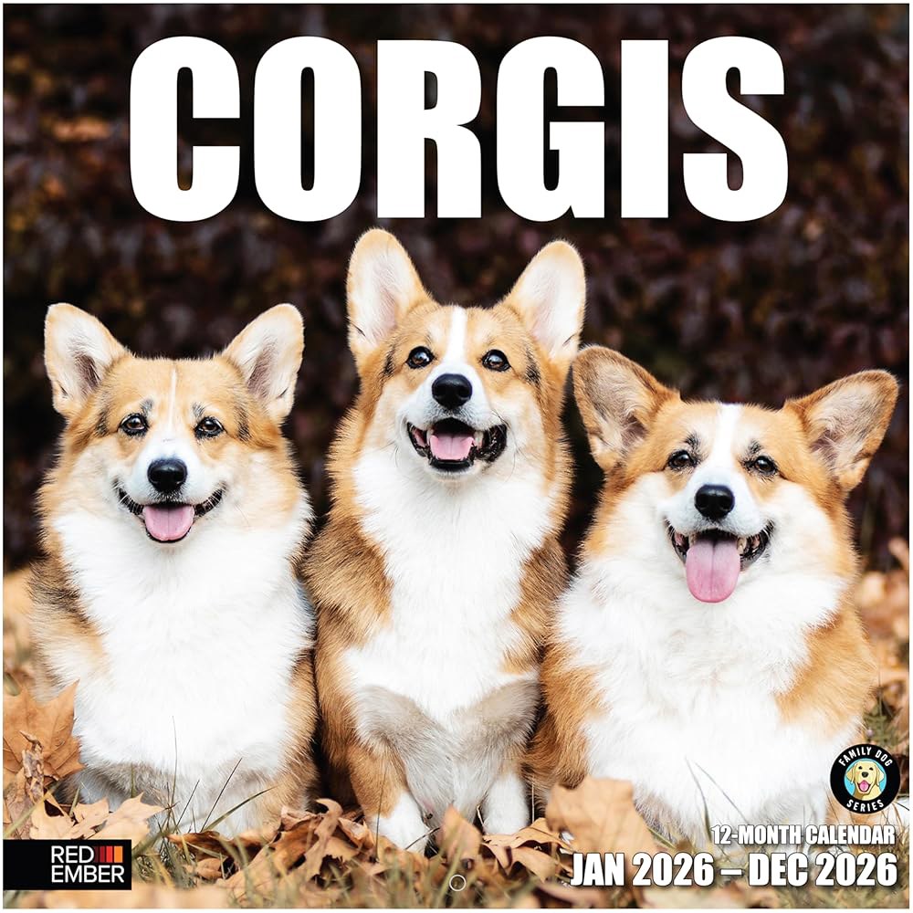 Corgis 2026 벽 달력 12개월 두껍고 61cm(12인치 종이 튼튼한 30.5cm 강아지 선물 귀여운 24인치) x 펼쳤을 때 휴일 01 - Corgis New 2026 - 상품 이미지