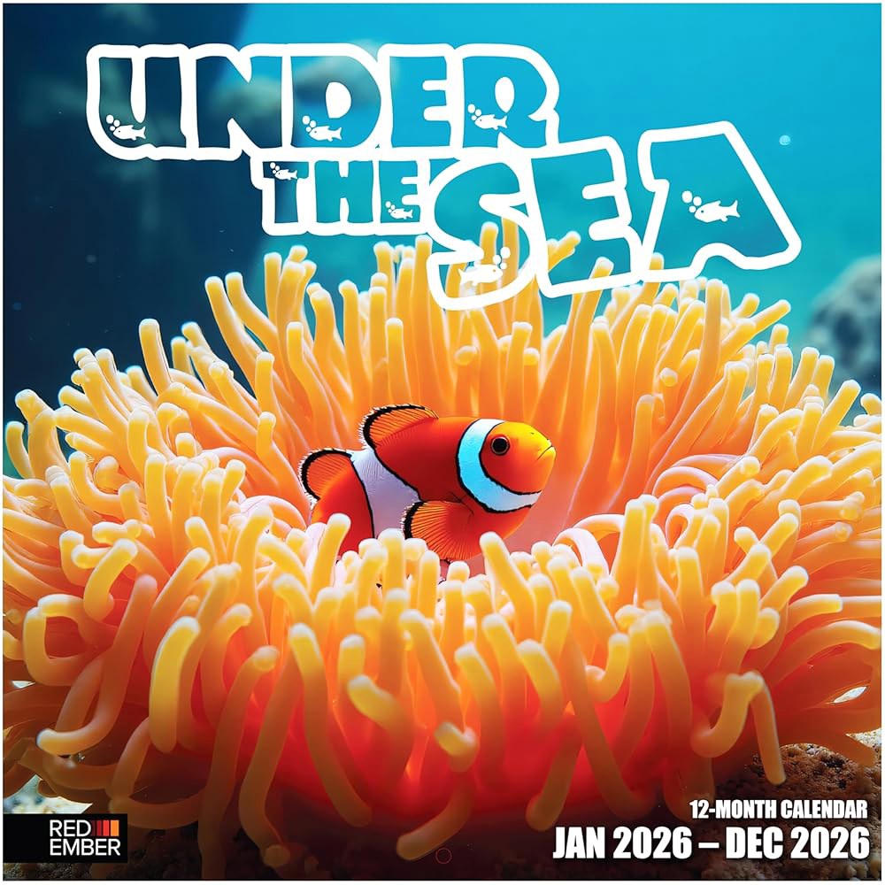 Under the Sea 2026 벽 12개월 종이 x 튼튼한 30.5cm 때 두껍고 61cm(12인치 24인치) 펼쳤을 선물 달력 Under the Sea - 2026 - 상품 이미지