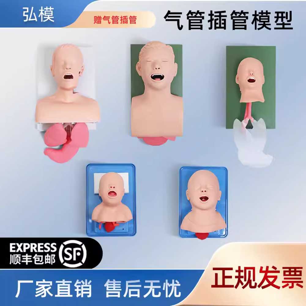 기도확보모형 응급 구조 성인 마네킹 기관내삽관 훈련 성인 연습 기도 삽관 J3 이미지 6