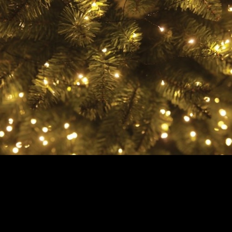 경오 지네전구 24V 200P 검정선 웜 6M 크리스마스 (1개입)