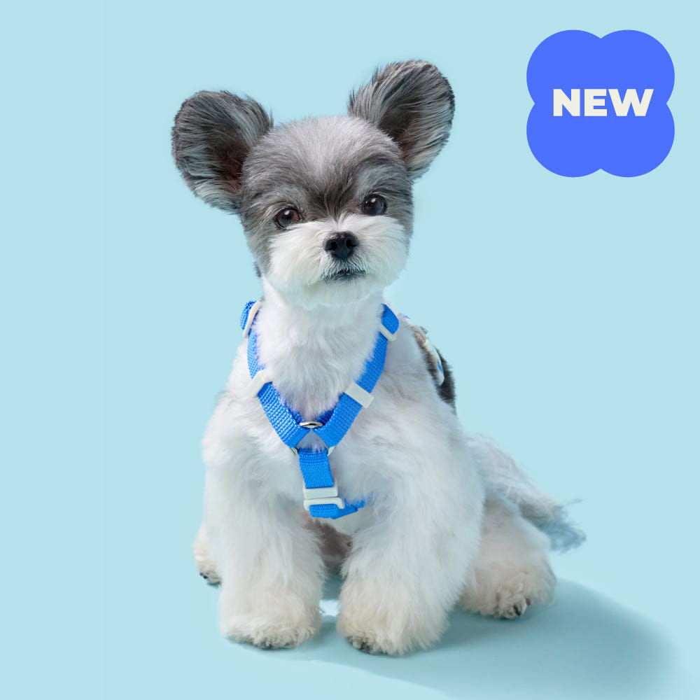 [강형욱X퍼피즈] 피크닉 가슴줄, 강아지 하네스 목줄 산책줄 솔직 후기 | 실제 사용자 리뷰 총정리 - 대표 이미지