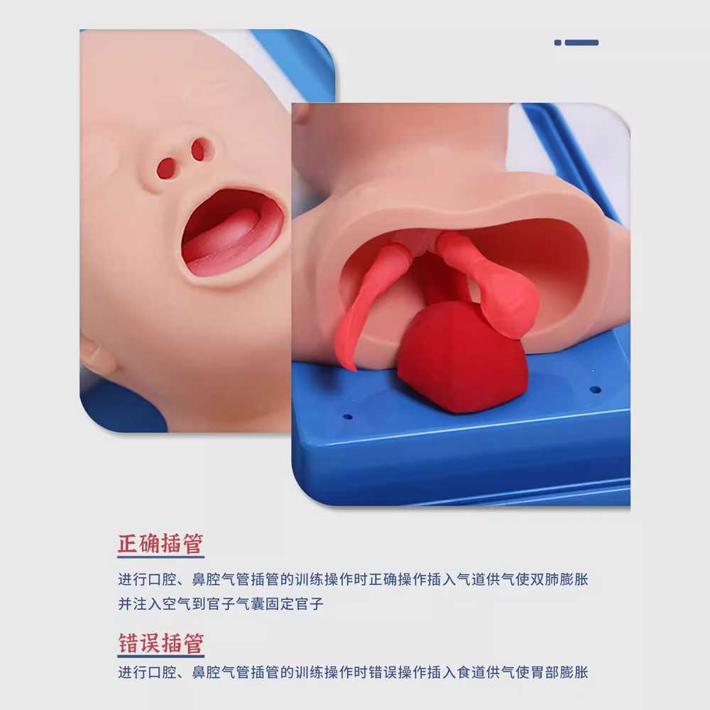 기도확보모형 응급 구조 성인 마네킹 기관내삽관 훈련 성인 연습 기도 삽관 J3 - 상세 이미지 2