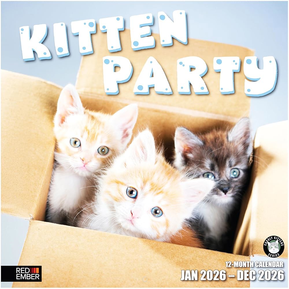 Kitten Party 2026 벽 달력 펼쳤을 x 종이 선물 24인치) 두껍고 12개월 61cm(12인치 30.5cm 때 튼튼한 04 Tuxedo Cats New 2026 - 상품 이미지