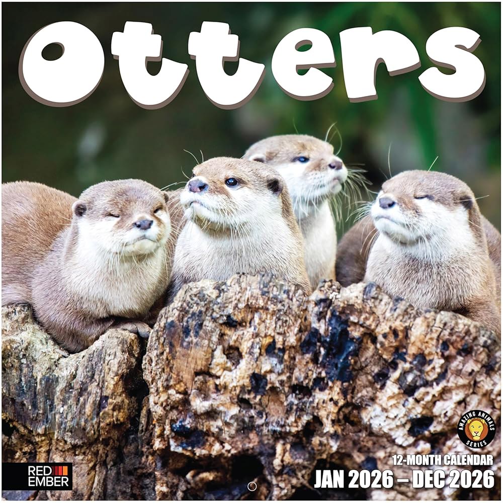 Otters 2026 벽 달력 12개월 종이 x 24인치) 동물 휴일 두껍고 귀여운 61cm(12인치 펼쳤을 튼튼한 30.5cm 선물 13 Toads New 2026 - 상품 이미지