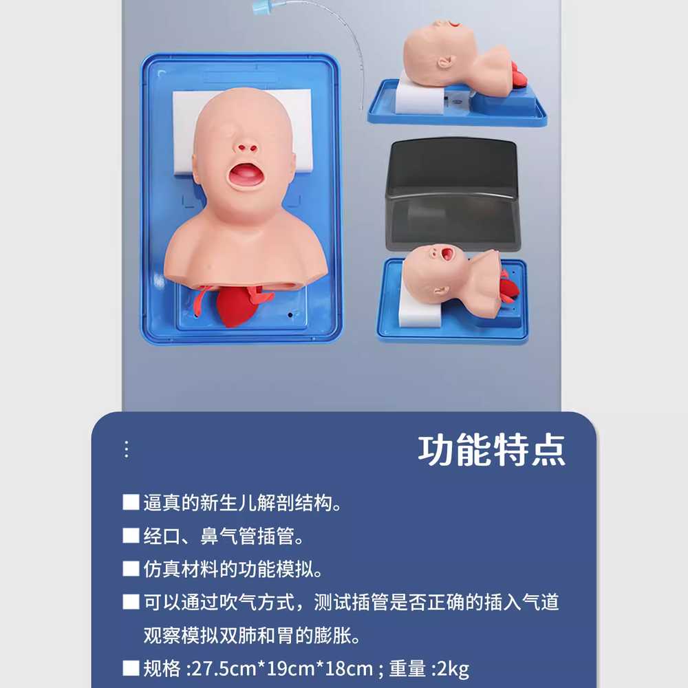 기도확보모형 응급 구조 성인 마네킹 기관내삽관 훈련 성인 연습 기도 삽관 J3 - 상세 이미지 3