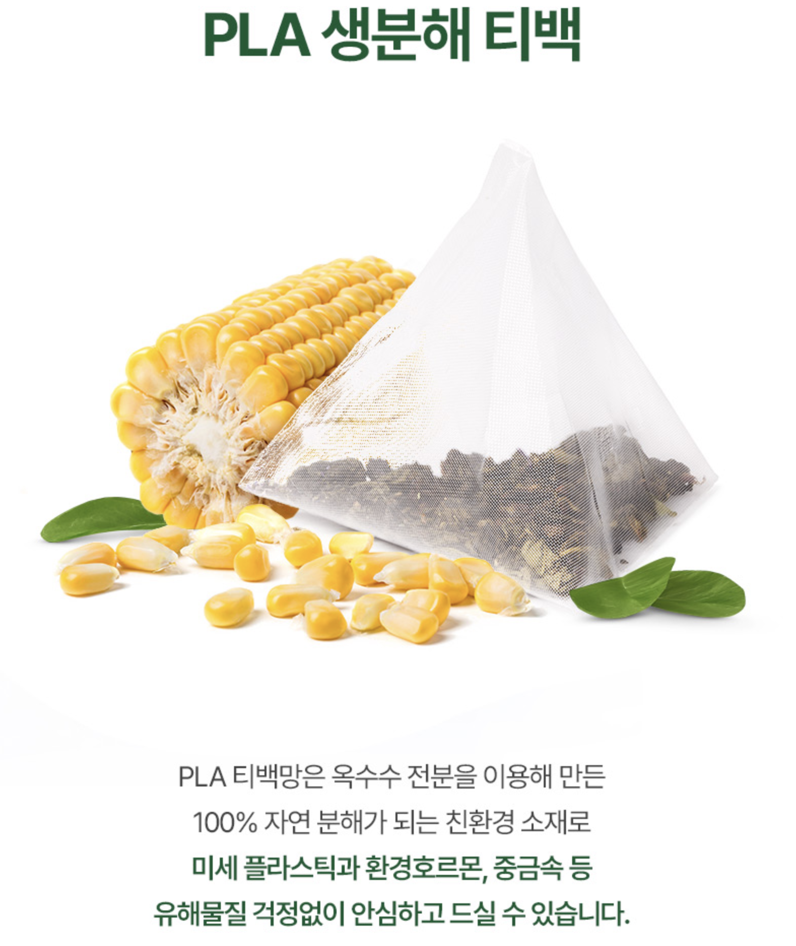 몸에좋은 솔잎차티백 커피대용 차 이미지 8