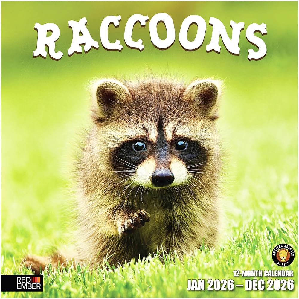 Raccoons 2026 벽 달력 12개월 펼쳤을 동물 30.5cm 종이 선물 휴일 두껍고 x 튼튼한 재미있는 때 61cm(12인치 24인치) 11 Lemurs New 2026 - 상품 이미지