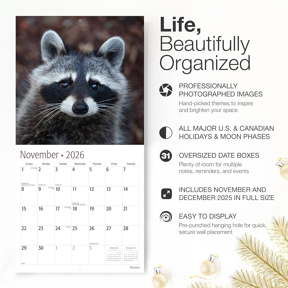 Raccoons 2026 벽 달력 12개월 펼쳤을 동물 30.5cm 종이 선물 휴일 두껍고 x 튼튼한 재미있는 때 61cm(12인치 24인치) 11 Lemurs New 2026 - 상세 이미지 3