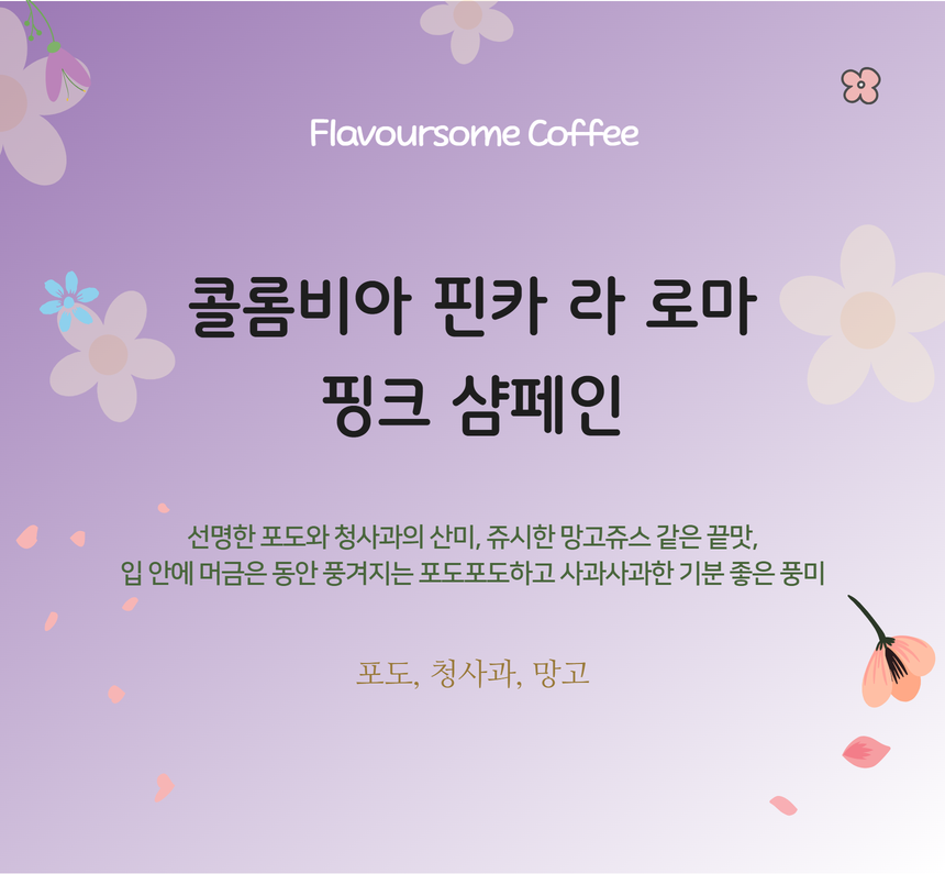 콜롬비아 핀카 라 로마 핑크 샴페인