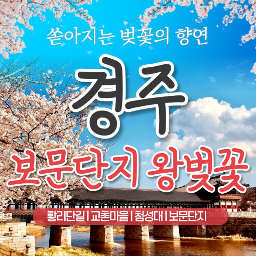 KTX 경주 보문단지 벚꽃축제 당일 기차여행 (보문단지 황리단길 첨성대 대릉원 국내 패키지) : 청송관광여행사
