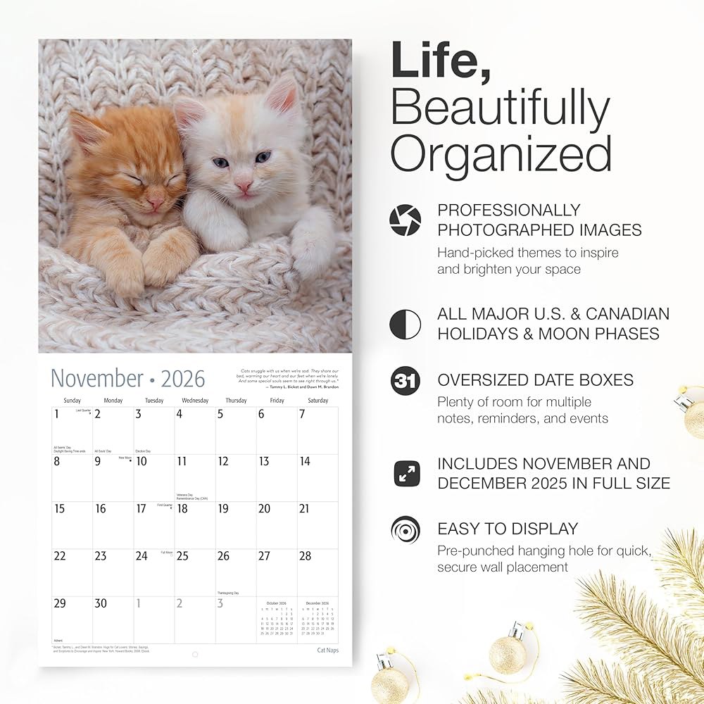 Cat Naps 2026 벽 달력 x 때 튼튼한 30.5cm 61cm(12인치 24인치) 두껍고 12개월 종이 선물 펼쳤을 01 - Cat Naps New 2026 - 상세 이미지 3