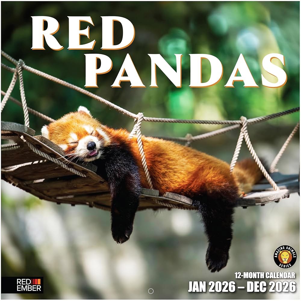 Red Pandas 2026 벽 달력 선물 30.5cm 때 펼쳤을 12개월 61cm(12인치 x 종이 24인치) 두껍고 튼튼한 01 - Red Pandas New 2026 - 상품 이미지