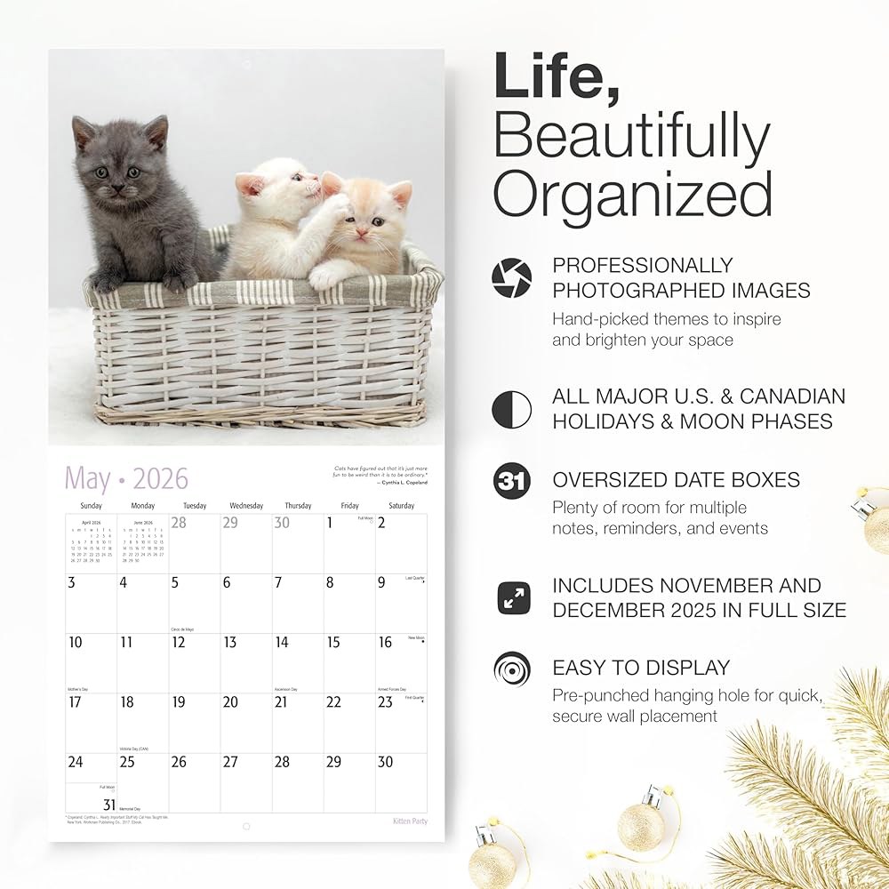 Kitten Party 2026 벽 달력 펼쳤을 x 종이 선물 24인치) 두껍고 12개월 61cm(12인치 30.5cm 때 튼튼한 04 Tuxedo Cats New 2026 - 상세 이미지 3