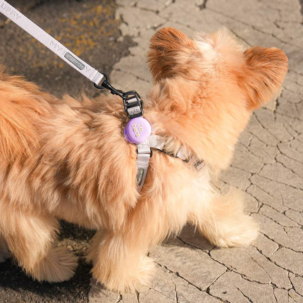 마이플러피 파인드미 강아지목줄 위치추적기 스마트태그 에어태그 이미지 4