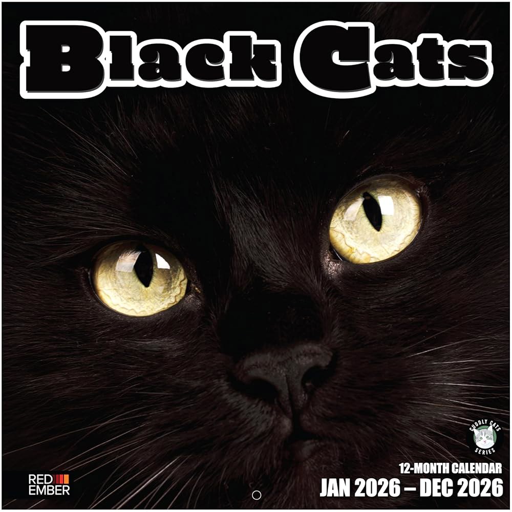 Black Cats 2026 벽 달력 펼쳤을 x 종이 튼튼한 24인치) 때 12개월 두껍고 30.5cm 선물 61cm(12인치 01 - Black Cats New 2026 - 상품 이미지