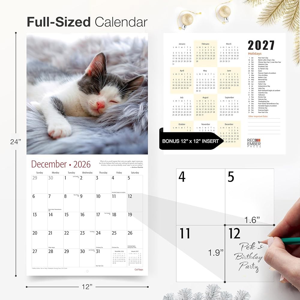 Cat Naps 2026 벽 달력 x 때 튼튼한 30.5cm 61cm(12인치 24인치) 두껍고 12개월 종이 선물 펼쳤을 01 - Cat Naps New 2026 - 상세 이미지 2