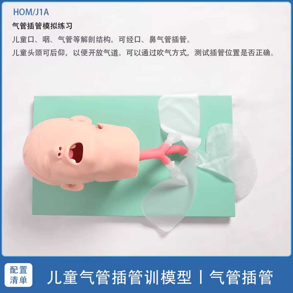 기도확보모형 응급 구조 성인 마네킹 기관내삽관 훈련 성인 연습 기도 삽관 J3 이미지 7