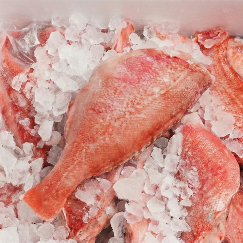 손질 두절 볼락 4kg 적어 열기 빨간고기 장문볼락 업소용 - 상세 이미지 5