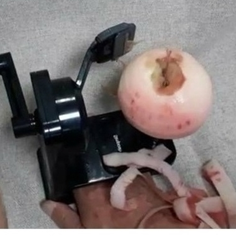 채써는 사과 감 무 파 깎는 기계 - 상세 이미지 3