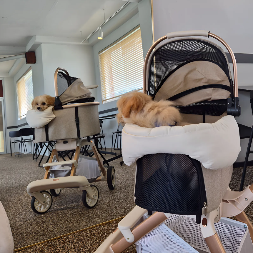 [대여] 냐오오 강아지 유모차 렌트