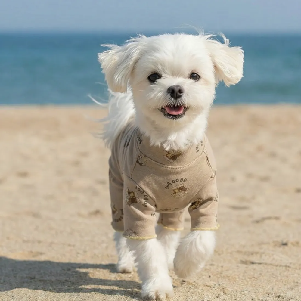뚜담펫 강아지 올인원 내복 반려견 고양이 순면 실내복 - 상세 이미지 4
