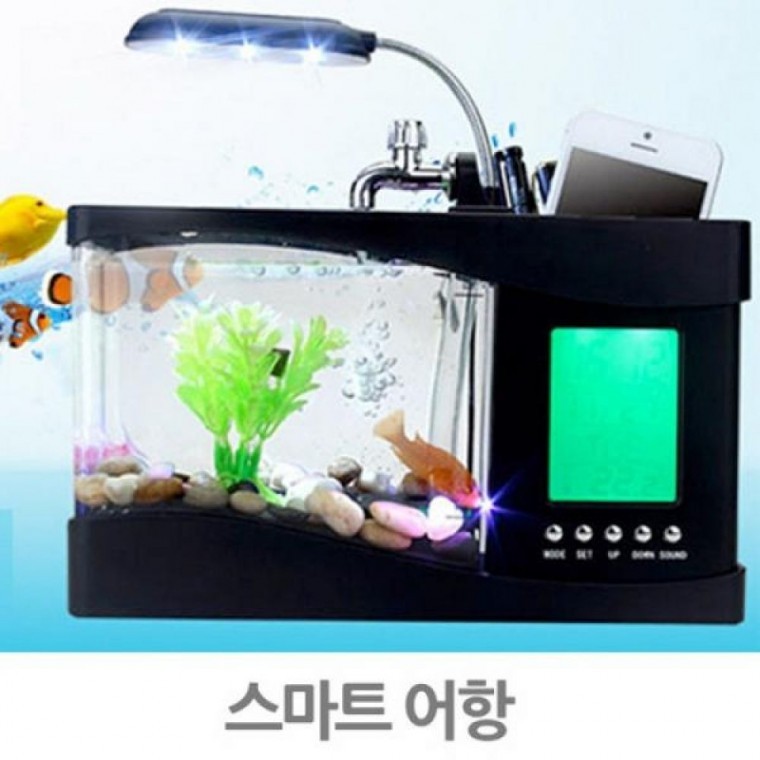 스마트 모던 어항