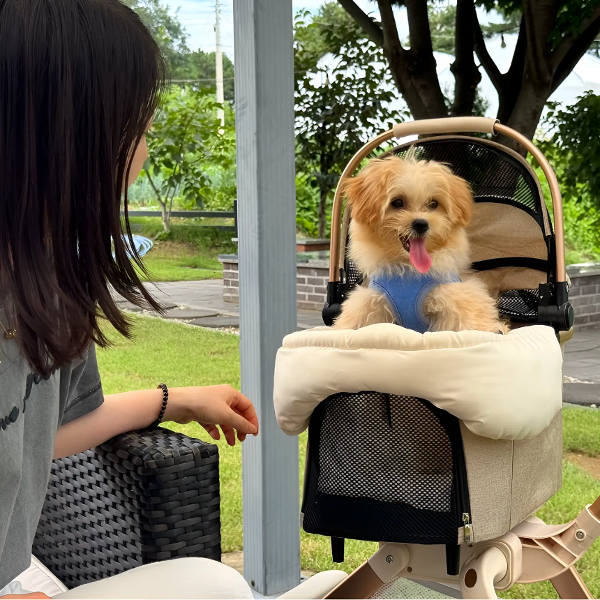 [대여] 냐오오 강아지 유모차 렌트