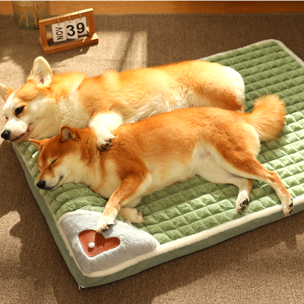 퍼플펫 강아지 방석 고양이 마약 방석 대형견 쿠션 폭신한 딥슬립 중형