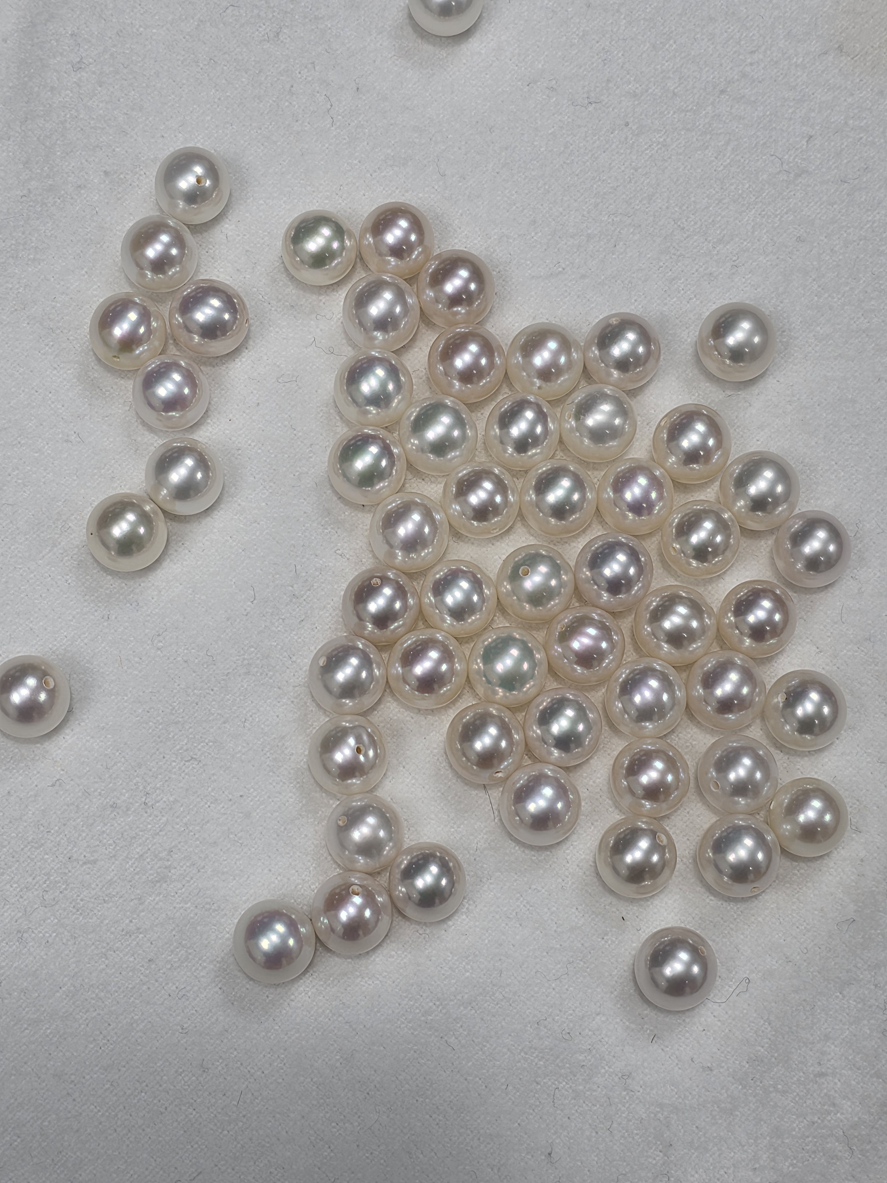 14k골드 6.0mm,7.0mm,8.0mm아코야 진주 귀걸이 - 상세 이미지 4