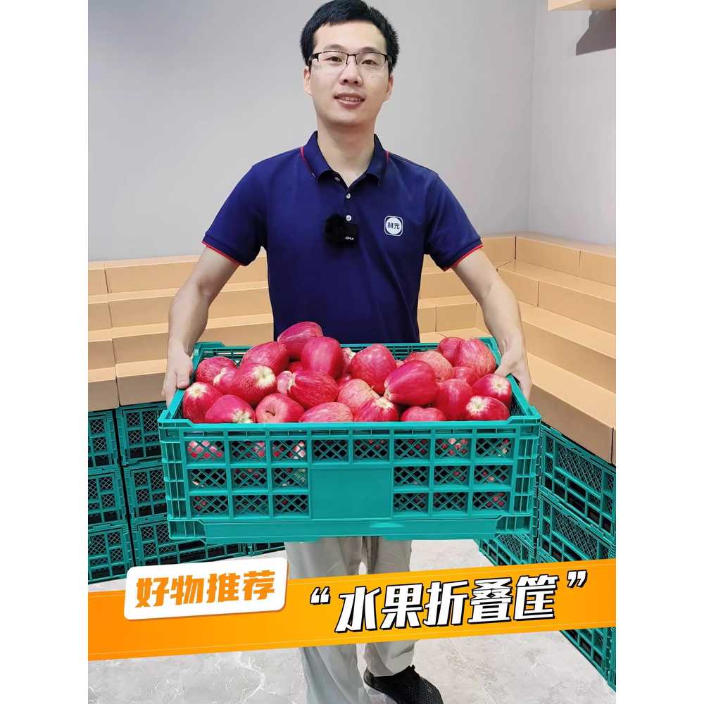 접이식 과일박스 플라스틱 농수산물 대형 바구니 보관 12cm - 상세 이미지 4