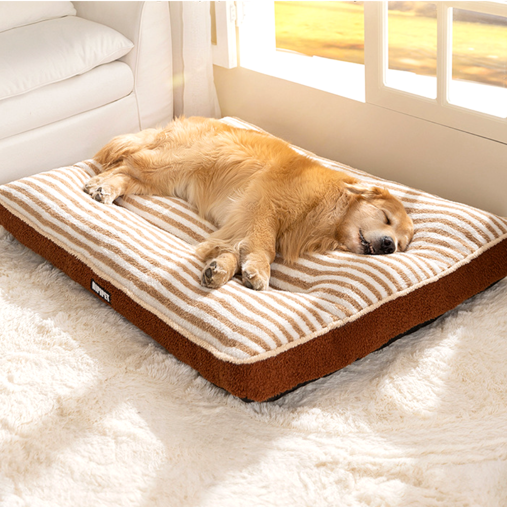 퍼플펫 강아지 방석 고양이 마약 방석 대형견 쿠션 폭신한 딥슬립 중형