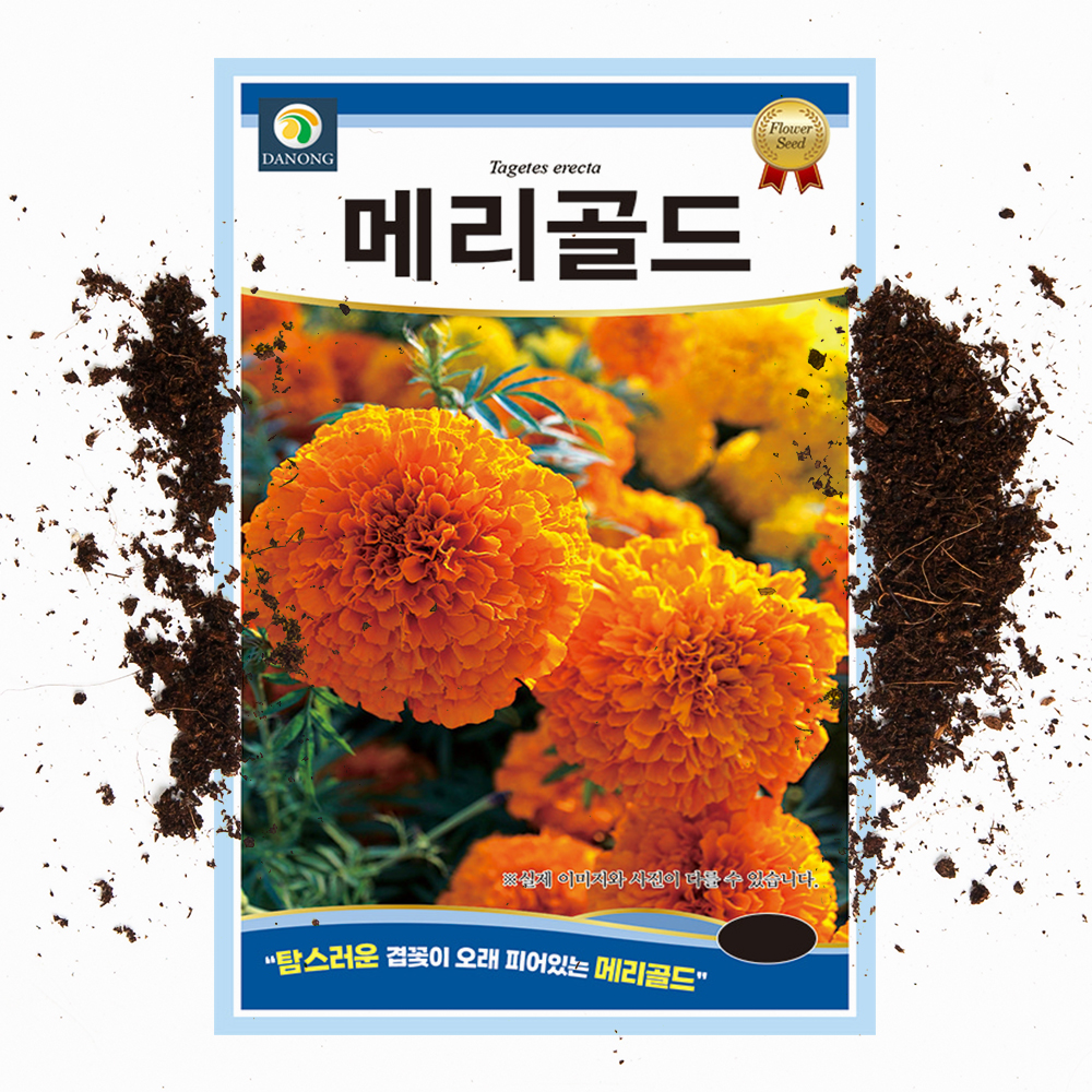 야생화 꽃씨 메리골드 씨앗 100립 D 국화과 한해살이 일년생 - 상품 이미지